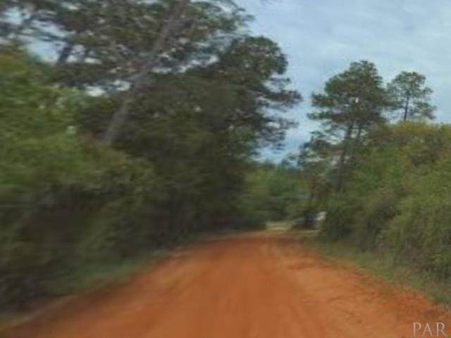 Poinsetta Ave - Photo 1