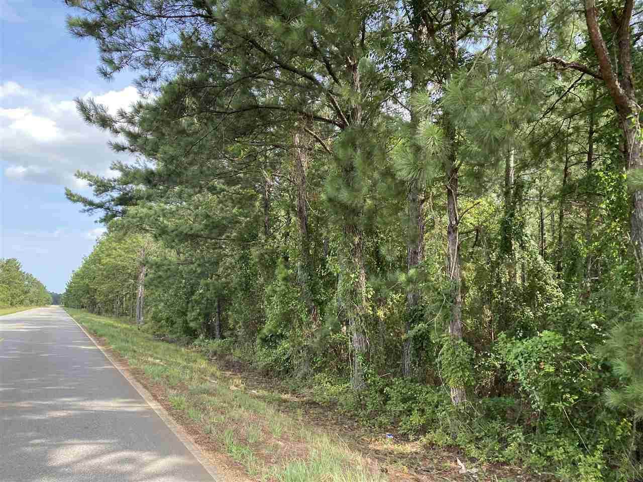 5 Booneville Rd - Photo 1