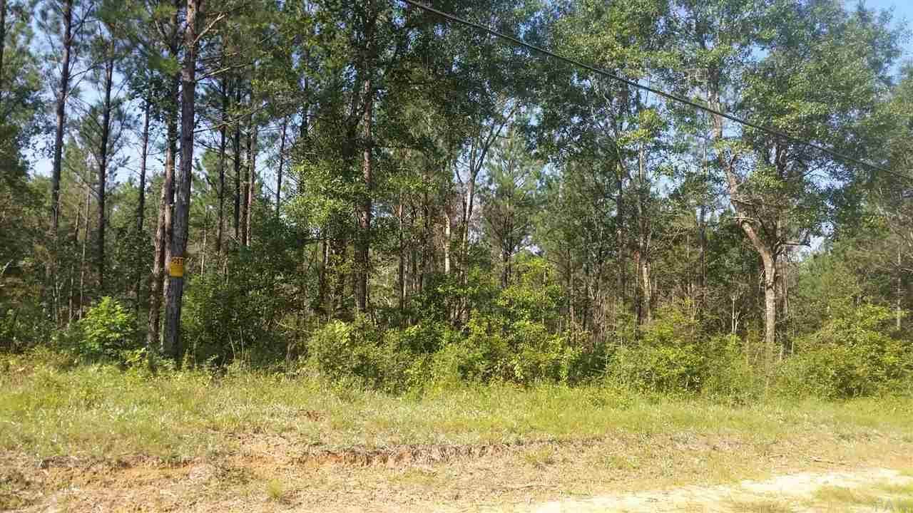 Old Palafox Hwy - Photo 1