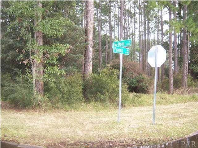 5179 Pale Moon Dr - Photo 1