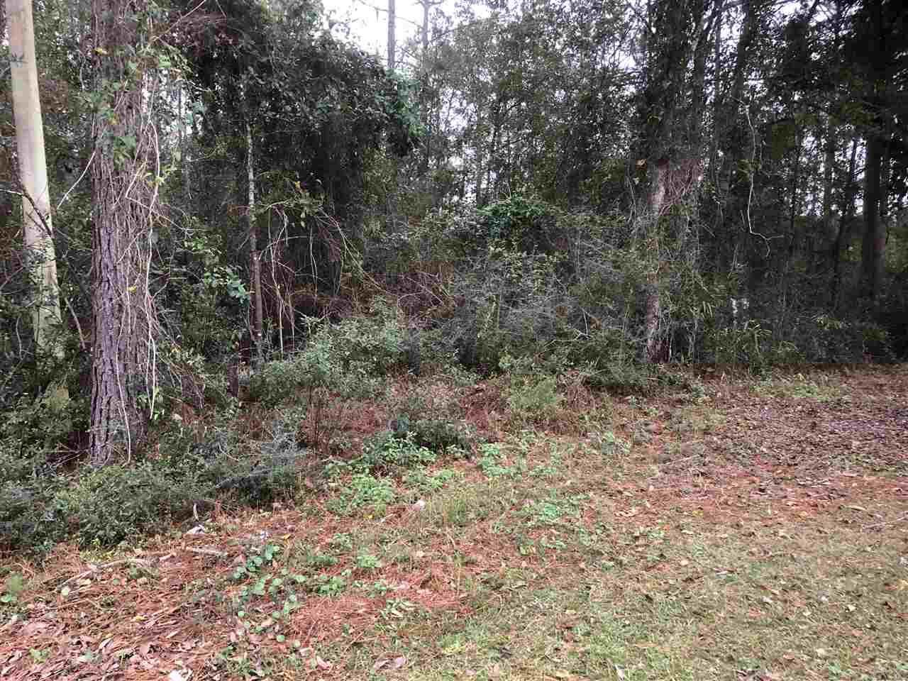 7 LOTS Del Monte St - Photo 1