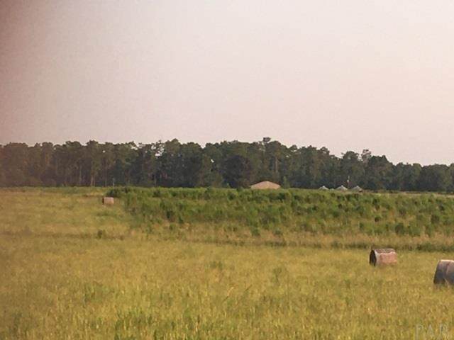 8100 Nokomis Rd - Photo 1