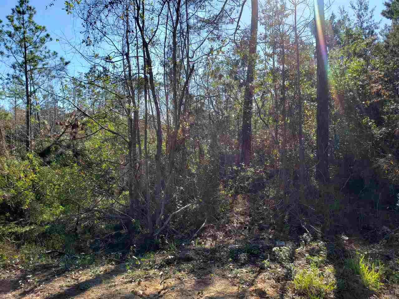 5817 Congress St - Photo 1