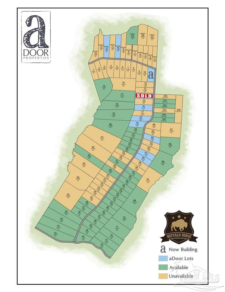 Lot 64 BR Buffalo Ridge Rd - Photo 1