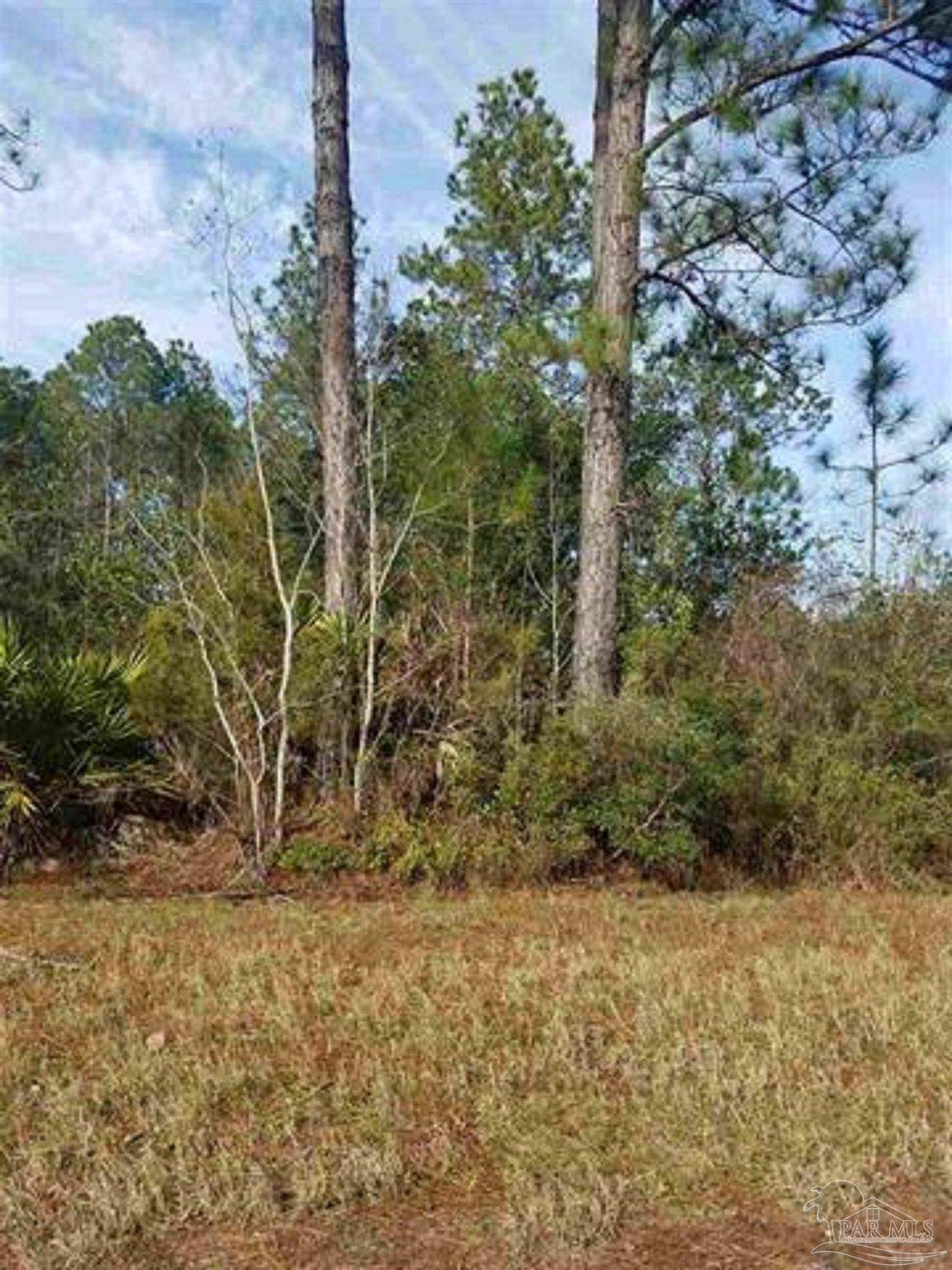 0000 Mier Henry Rd - Photo 1