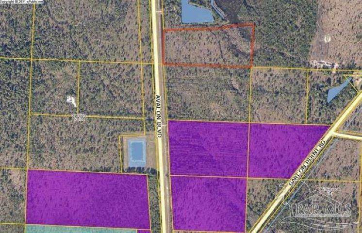000 Avalon Blvd - Photo 1