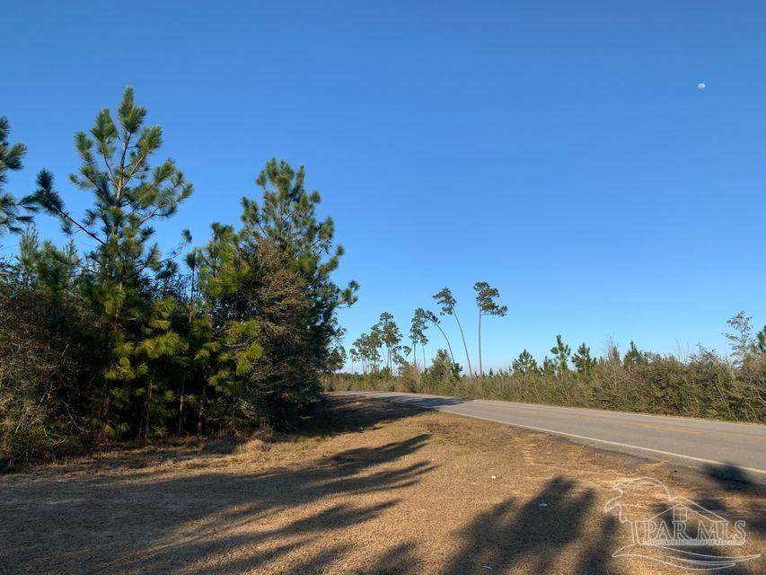 12.56 AC Munson Hwy - Photo 1