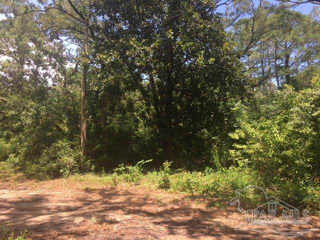 001 Big Oak Loop - Photo 1