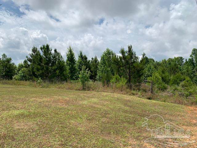 15000 block Old Highway 5 - Photo 1