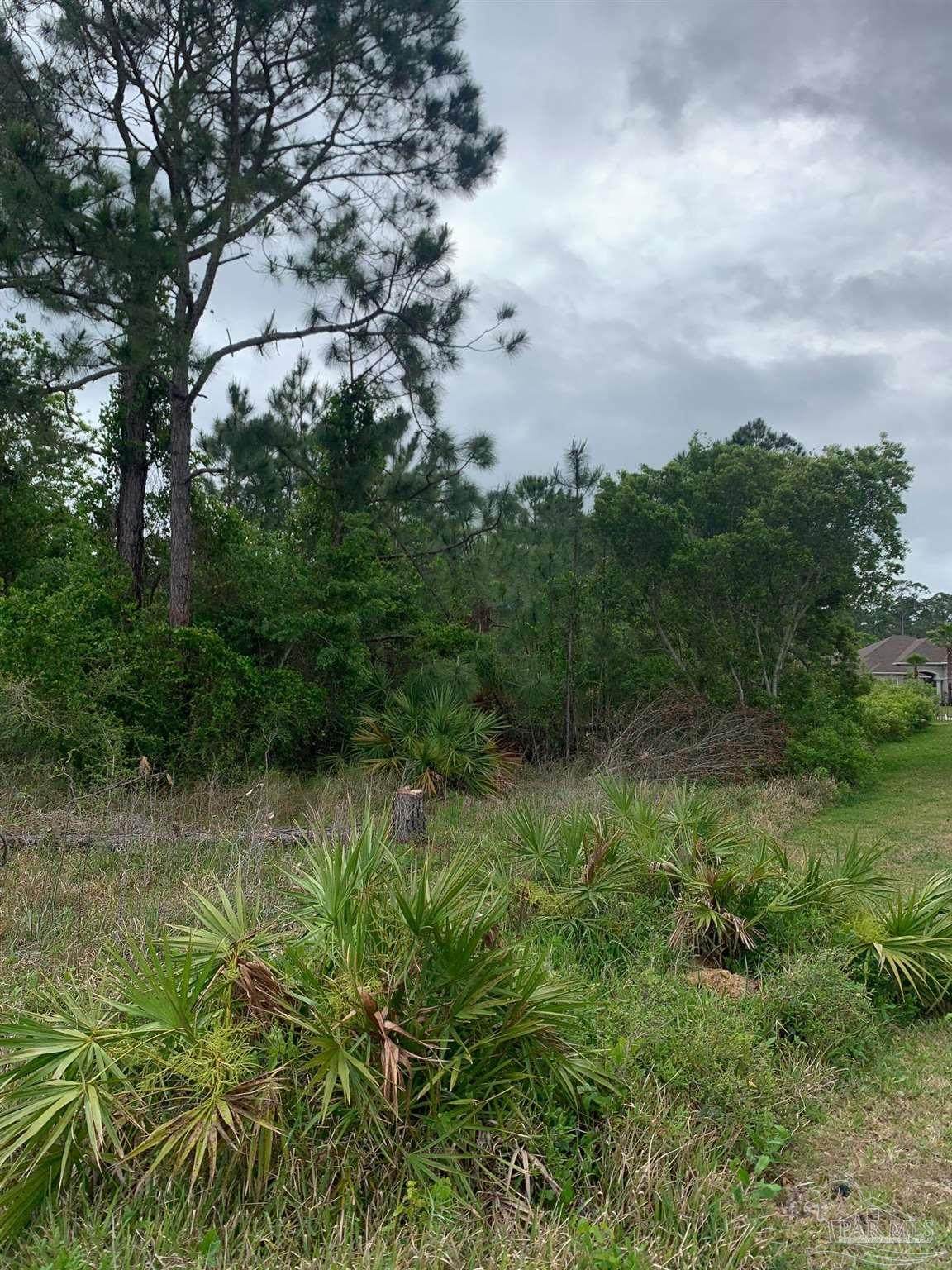 4920 Valiente Dr - Photo 1