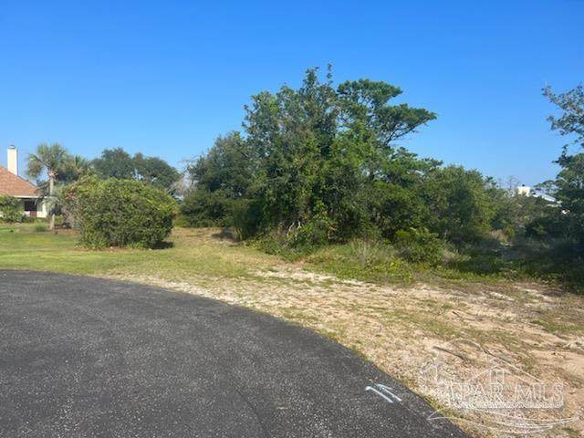 00 Bayou Ct - Photo 1