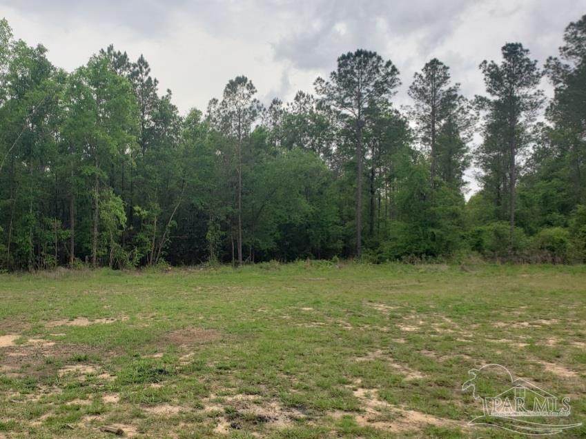 5535 Shepherds Ln - Photo 1