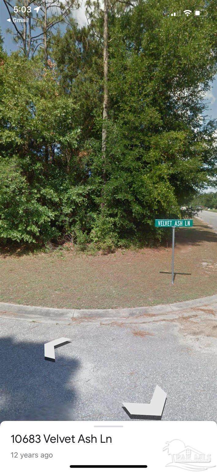 10715 Velvet Ash Ln - Photo 1