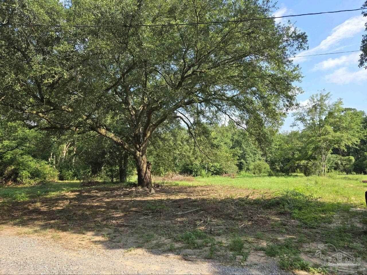 9929 Beaulah Rd - Photo 1