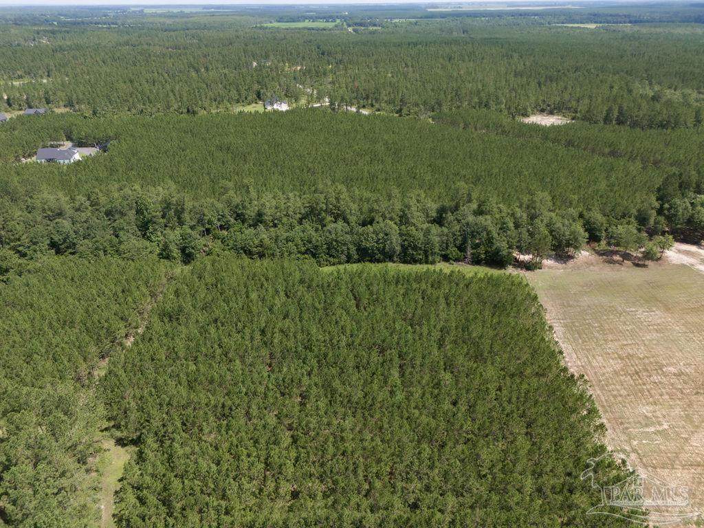 Lot 115 Edge Forest Way - Photo 1
