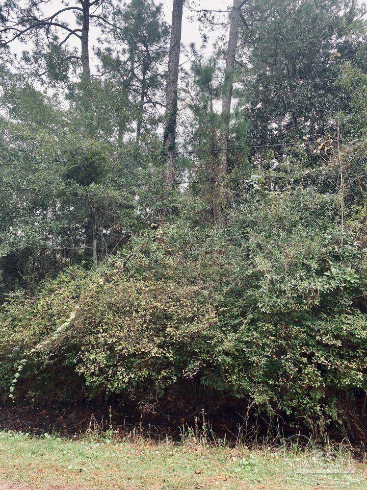 Parcel 14 Santa Clara Dr - Photo 1