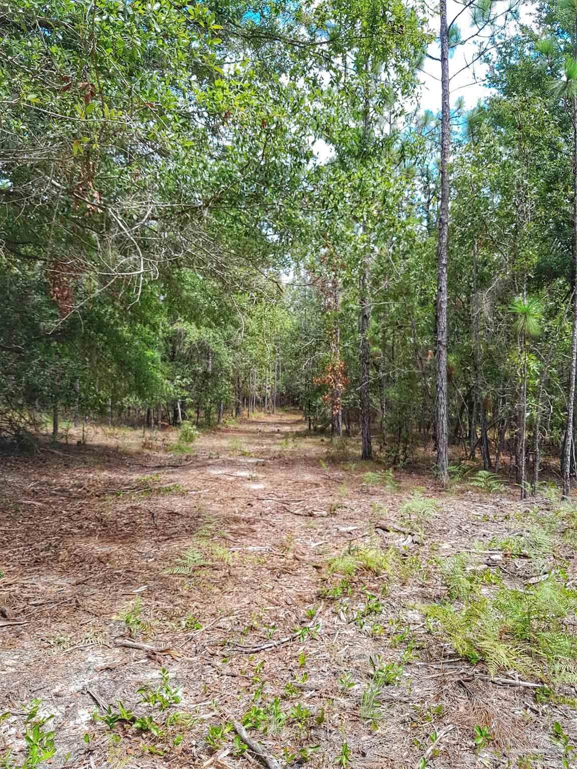 Parcel B-2 Wildlife Rd - Photo 1