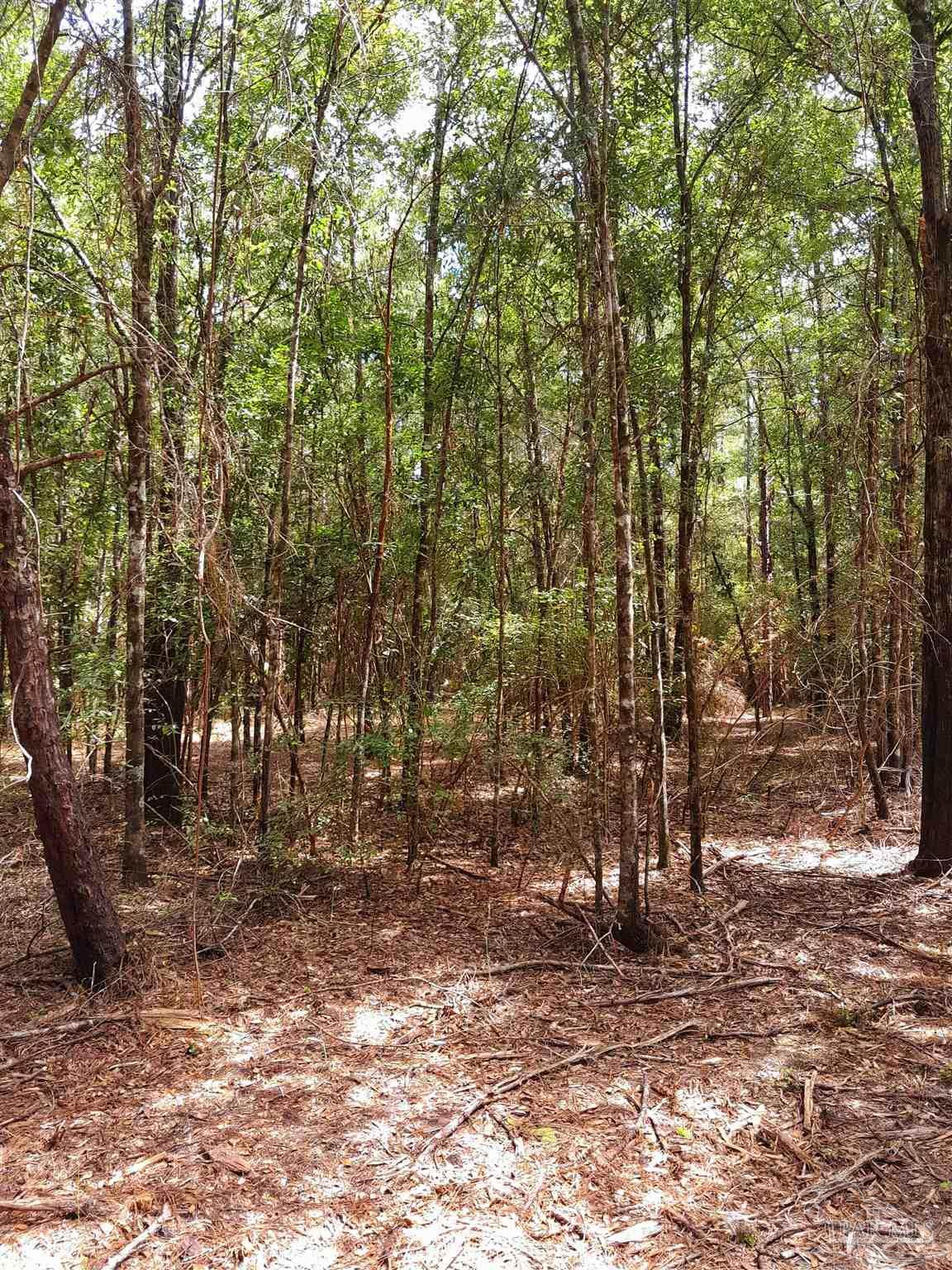 Parcel C-2 Wildlife Rd - Photo 1