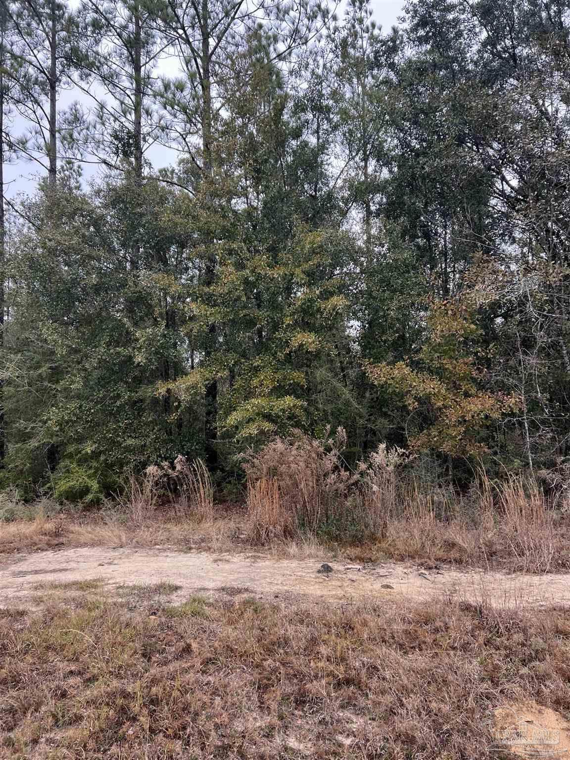 https://bt-photos.global.ssl.fastly.net/pensacola/1280_boomver_1_656805-2.jpg