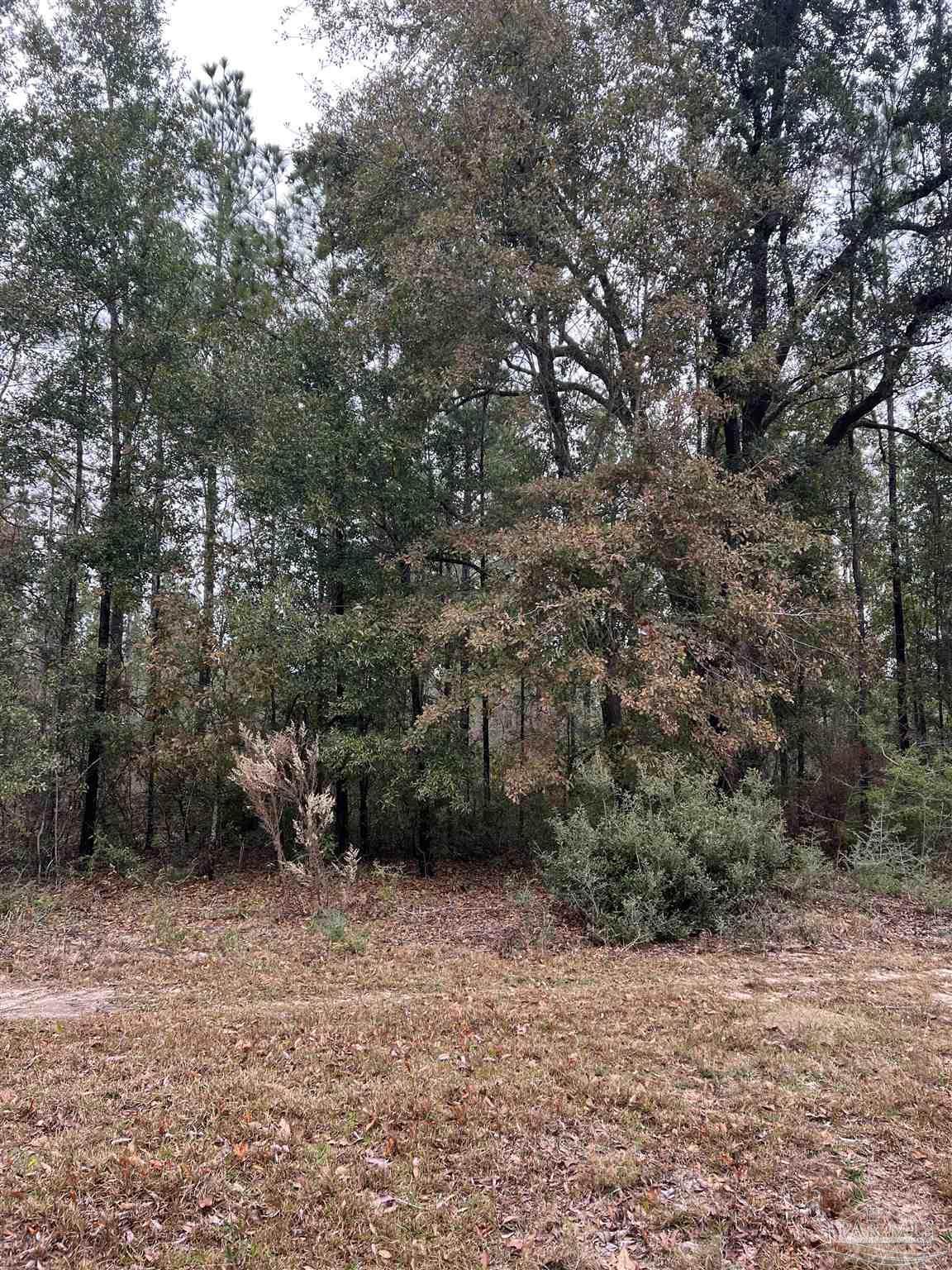 https://bt-photos.global.ssl.fastly.net/pensacola/1280_boomver_1_656805-2.jpg