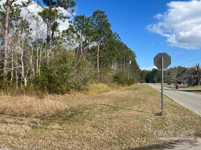 1A Bayshore Pkwy - Photo 1