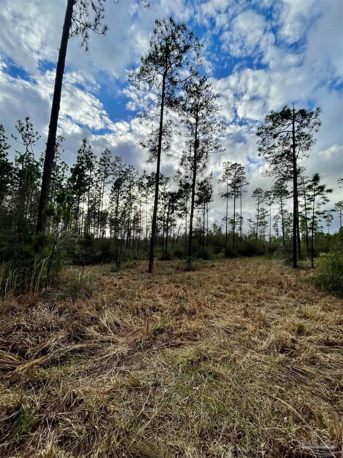 https://bt-photos.global.ssl.fastly.net/pensacola/orig_boomver_1_657350-2.jpg