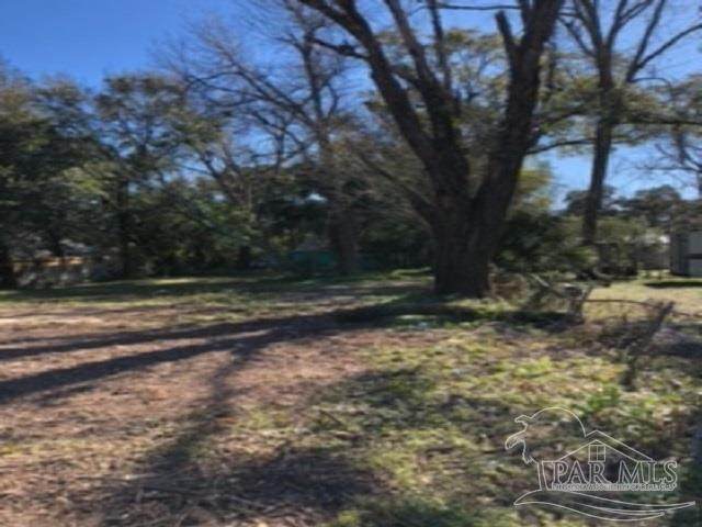 2555 St Catherine Ave - Photo 1