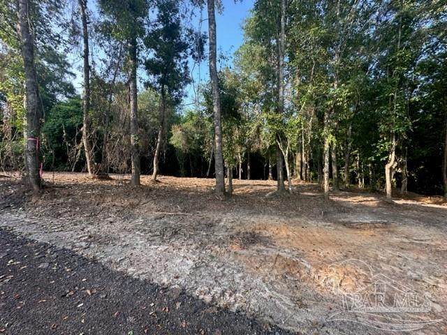 6322 Donna Dr - Photo 1