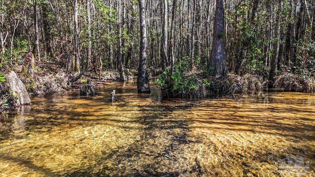 8340 Gin Rd - Photo 1