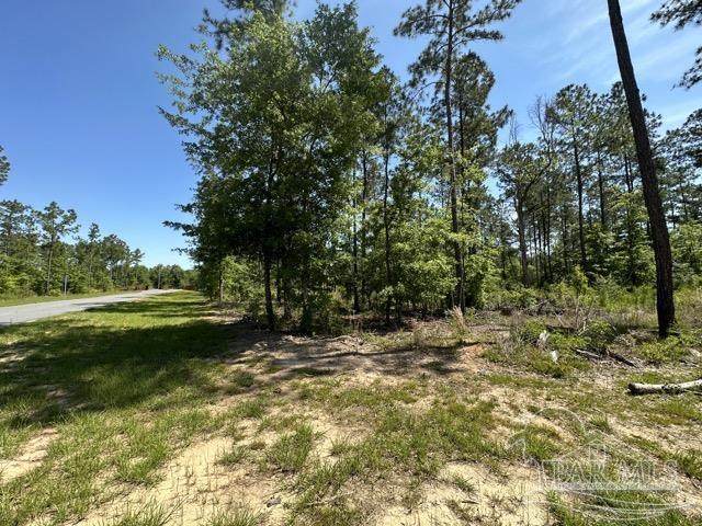 16 Steele Meadow Dr - Photo 1