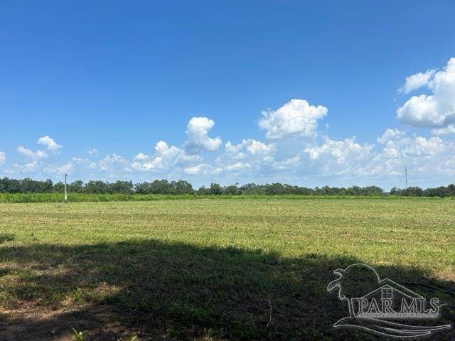 3660 Hazel Godwin Rd - Photo 1
