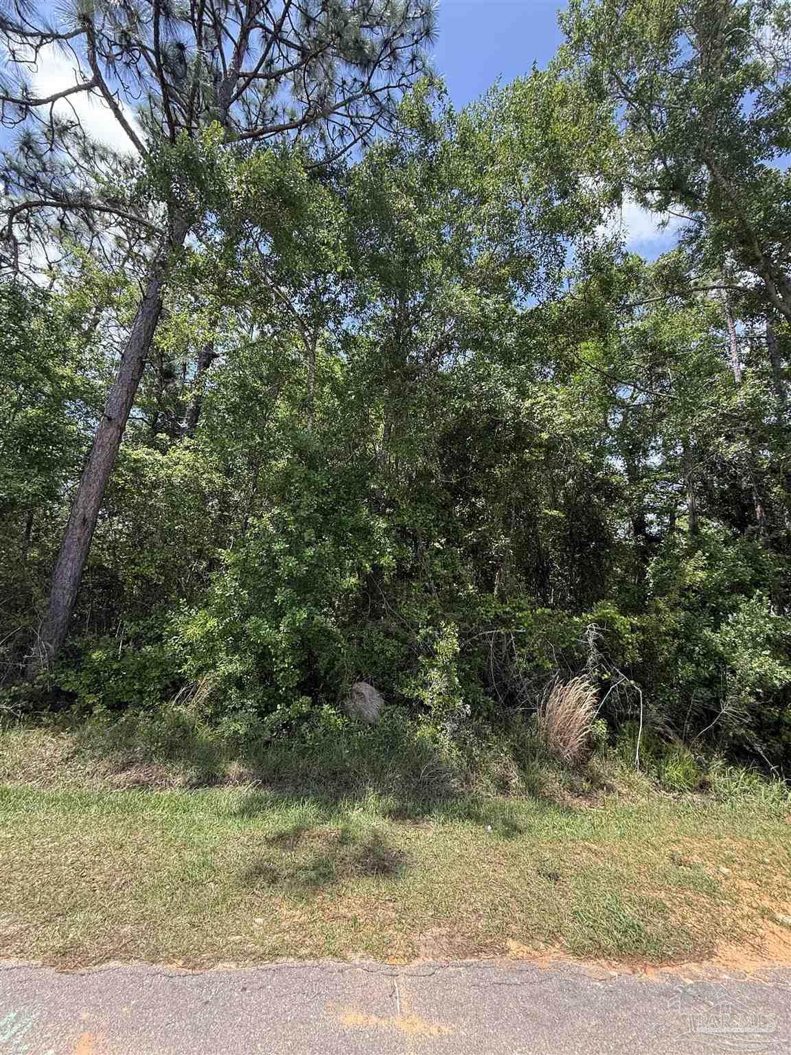 X 24th Ave - Photo 1