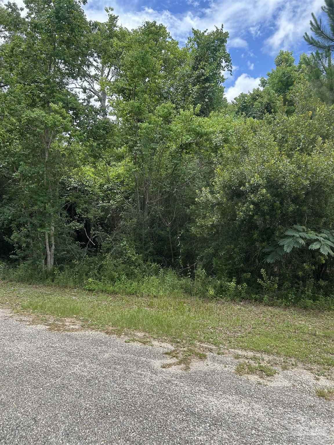 https://bt-photos.global.ssl.fastly.net/pensacola/orig_boomver_1_665704-2.jpg