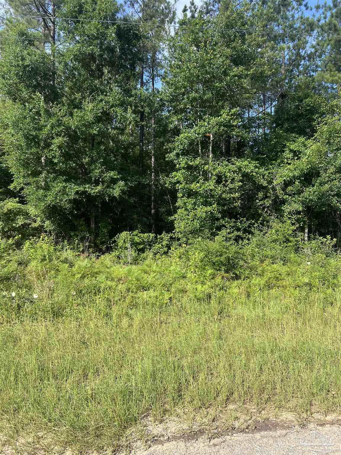 Lot 86 Pineview Church Rd - Photo 1