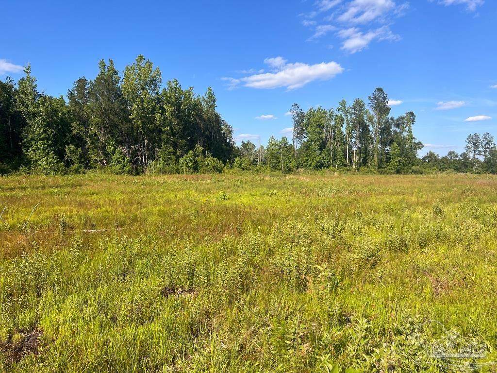 Lot 16-C Hwy 29 - Photo 1