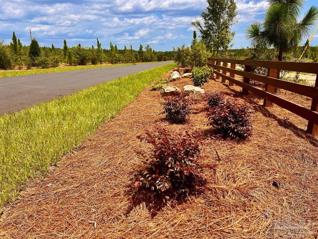 Lot 70 Naturewalk Dr - Photo 1