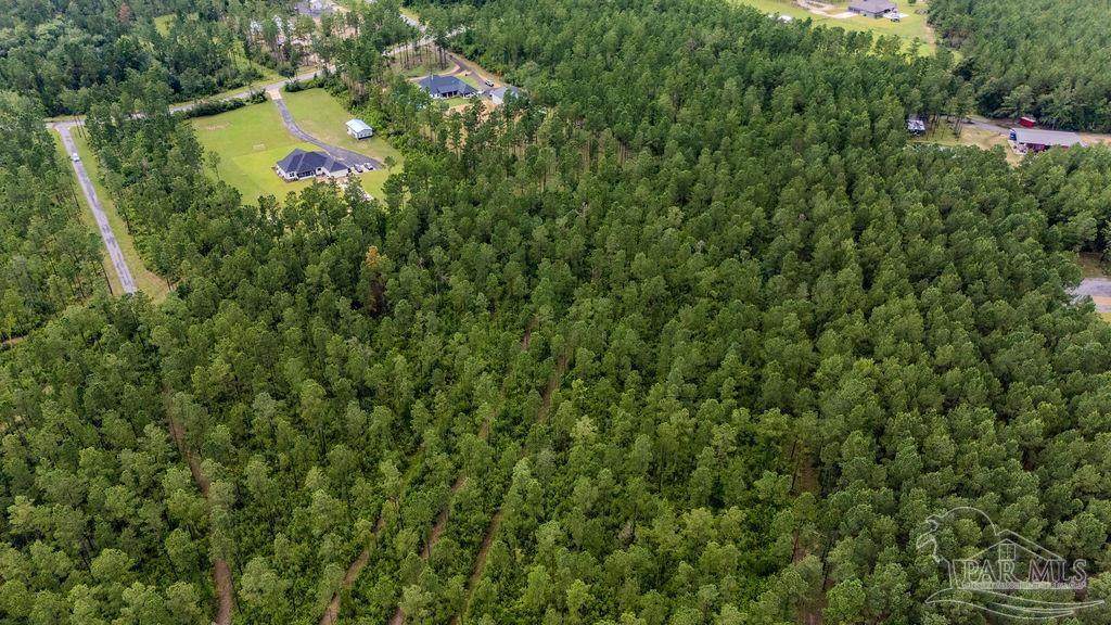 54 Sage Forest Ln - Photo 1