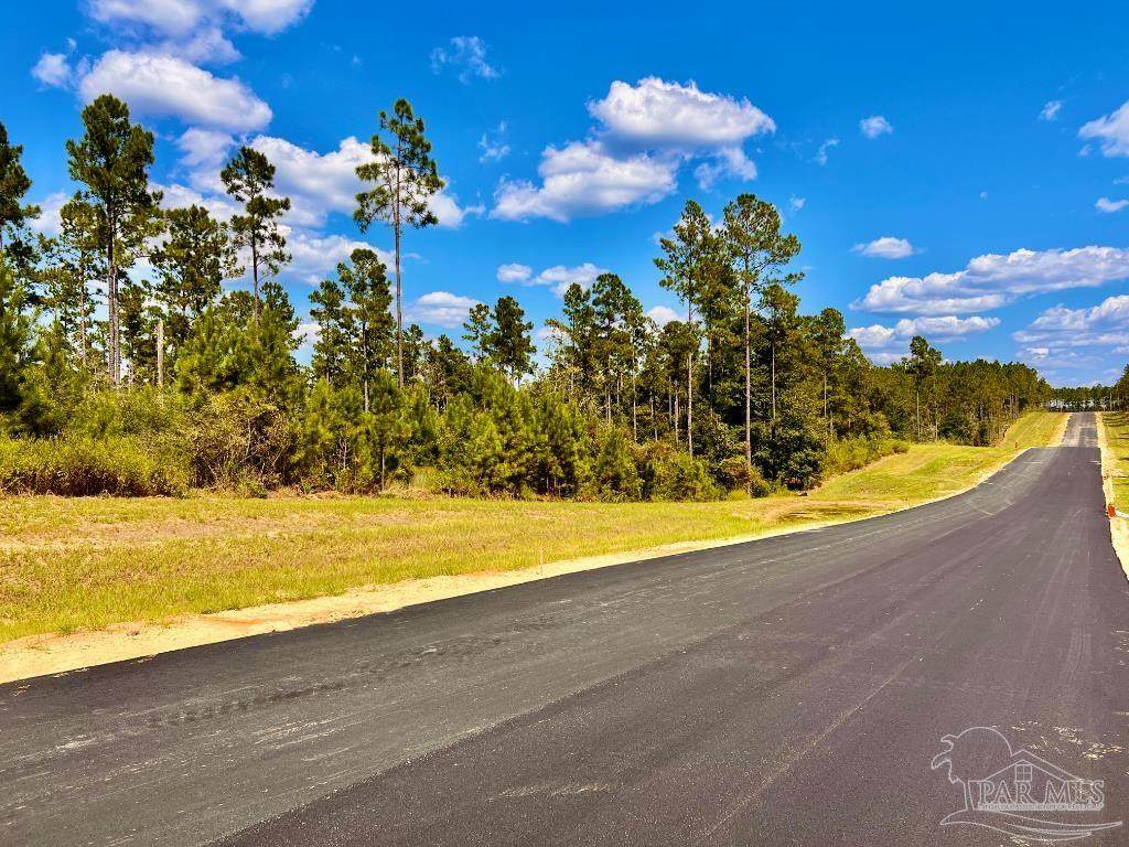 Lot 3 Morgans Branch - Photo 1
