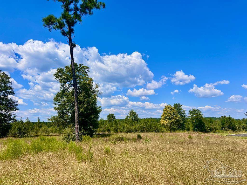 Lot 14 Morgans Branch - Photo 1
