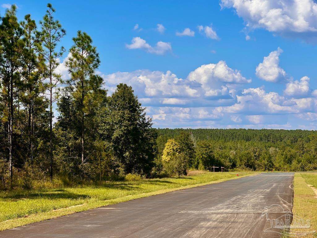 Lot 20 Morgans Branch - Photo 1