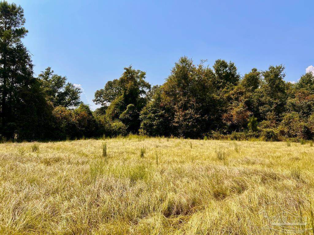 Lot 28 Morgans Branch - Photo 1