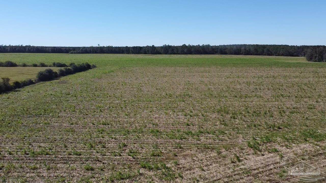 5600 Block Hwy 97 - Photo 1