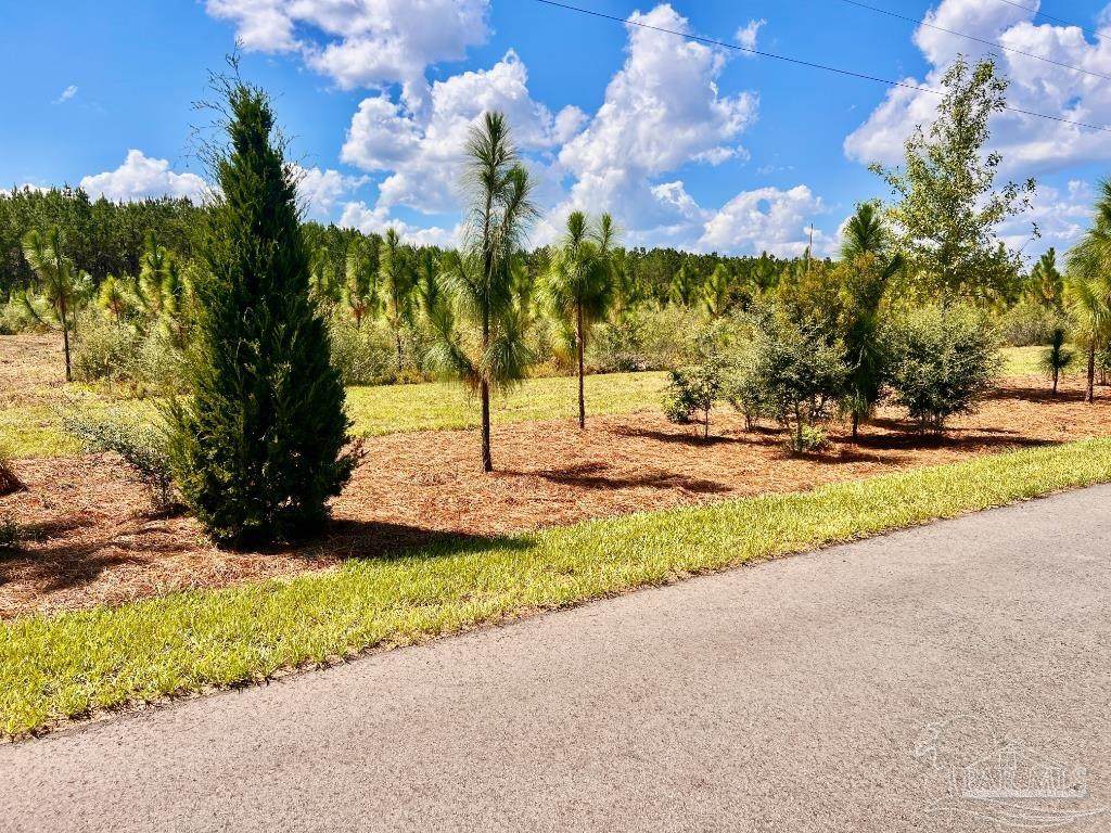 Lot 63 Naturewalk Dr - Photo 1