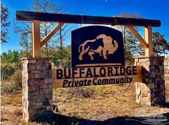 Lot 17 BS Buffalo Ridge Rd - Photo 1