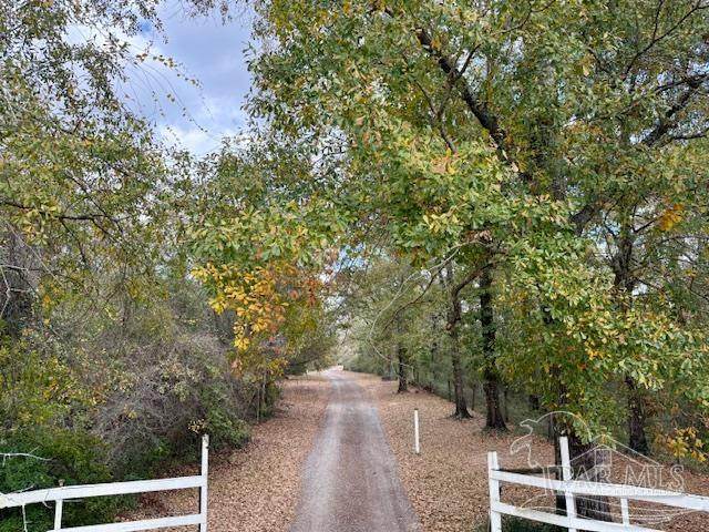 3400 Hwy 29 - Photo 1