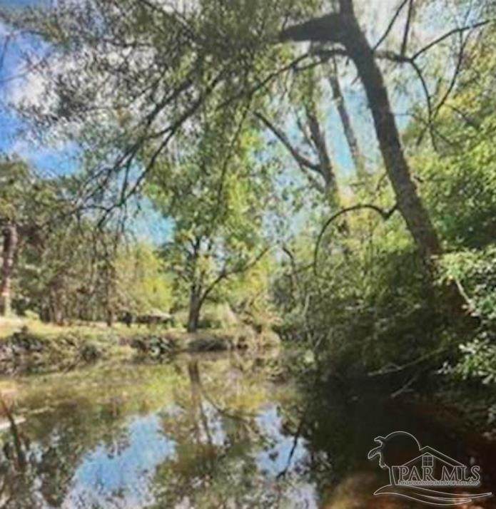 0 Woodhaven Dairy Rd - Photo 1