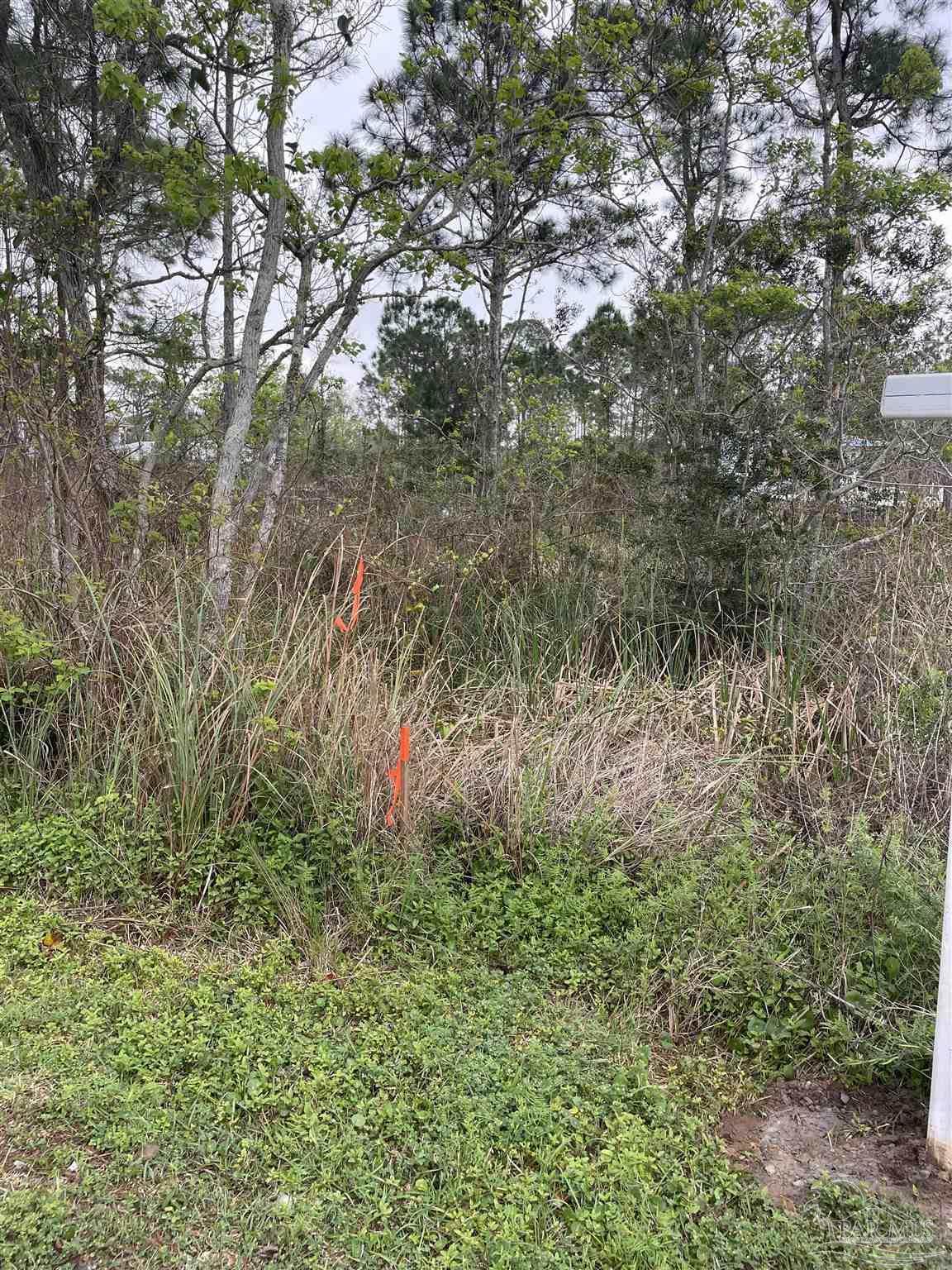 https://bt-photos.global.ssl.fastly.net/pensacola/orig_boomver_1_677006-2.jpg