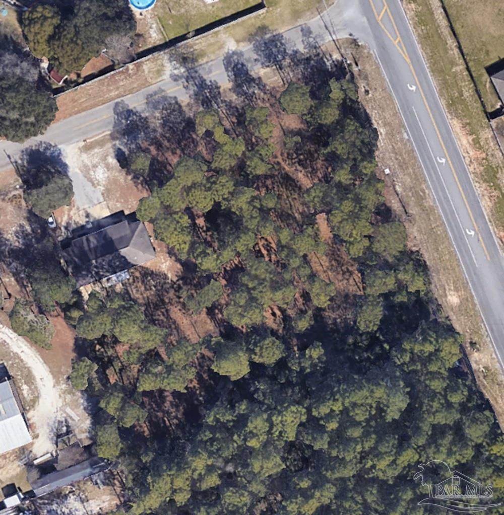 2223 Dog Track Rd - Photo 1