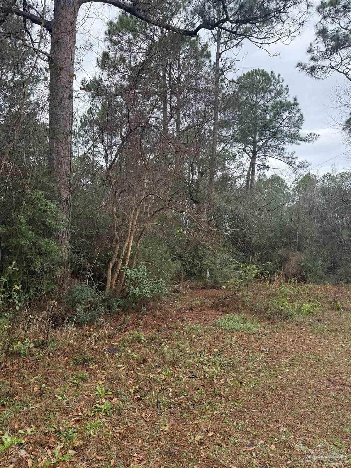 https://bt-photos.global.ssl.fastly.net/pensacola/orig_boomver_1_678295-2.jpg