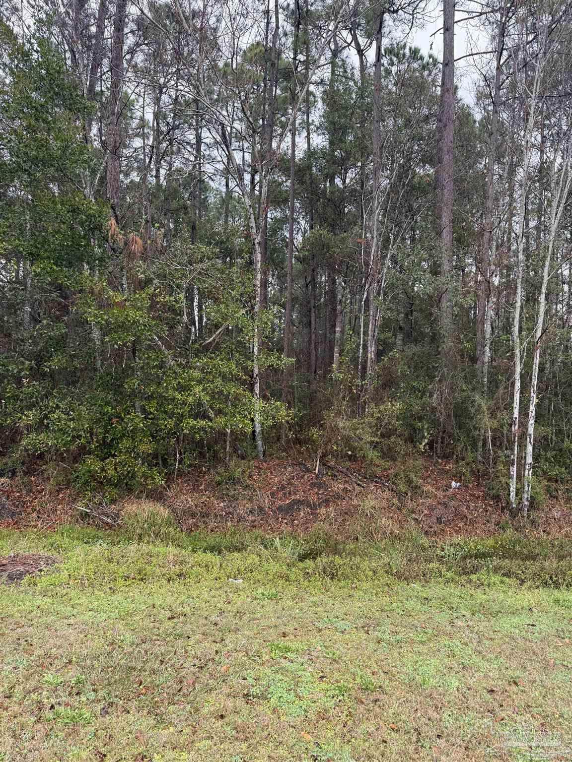 https://bt-photos.global.ssl.fastly.net/pensacola/orig_boomver_1_678295-2.jpg